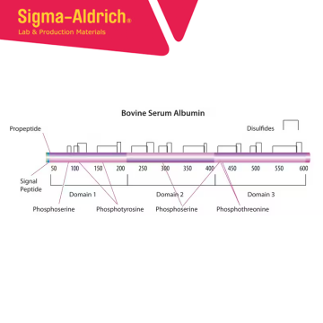 Sigma-Aldrich A9576 Bovine Serum Albumin solution 30% in DPBS, sterile-filtered, BioXtra, suitable for cell culture CAS No.: 9048-46-8 50 mL