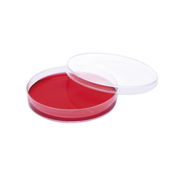 ISOLAB Petri Kutusu - P.S - 60 x 15 mm - Steril A - 500 Adet/Koli