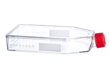 greiner BIO-ONE 660175 Hücre Kültürü Şişesi, 550 ml, 175 cm², PS, Kırmızı Filtre Vida Kapaklı, Şeffaf, CELLSTAR®, TC, Düz Şişe Tasarımı, Steril 50 Adet / Koli