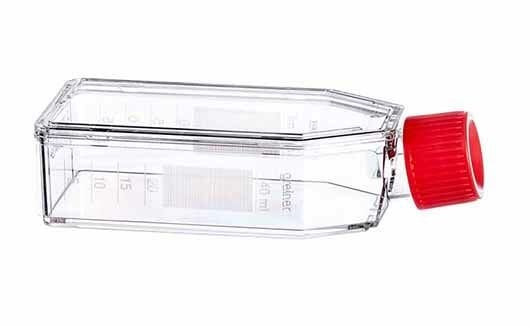 greiner BIO-ONE 660160 Hücre Kültürü Şişesi, 50 ml, 25 cm², PS, Kırmızı Standart Kapaklı, Şeffaf, CELLSTAR®, TC, Steril 200 Adet / Koli