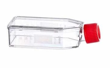 greiner BIO-ONE 660160 Hücre Kültürü Şişesi, 50 ml, 25 cm², PS, Kırmızı Standart Kapaklı, Şeffaf, CELLSTAR®, TC, Steril 200 Adet / Koli