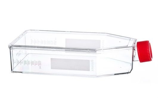greiner BIO-ONE 661160 Hücre Kültürü Şişesi, 650 ml, 175 cm², PS, Kırmızı Standart Vida Kapaklı, Şeffaf, CELLSTAR®, TC, Yüksek Şişe Tasarımı, Steril 40 Adet / Koli