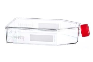 greiner BIO-ONE 661160 Hücre Kültürü Şişesi, 650 ml, 175 cm², PS, Kırmızı Standart Vida Kapaklı, Şeffaf, CELLSTAR®, TC, Yüksek Şişe Tasarımı, Steril 40 Adet / Koli