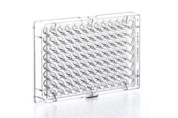 greiner BIO-ONE 655180 Hücre Kültürü için CELLCULTURE MICROPLATE, 96 WELL, PS, F-BOTTOM (CHIMNEY WELL), CLEAR, CELLSTAR®, TC, LID WITH CONDENSATION RINGS, STERILE, SINGLE PACKED 100 Adet / Koli