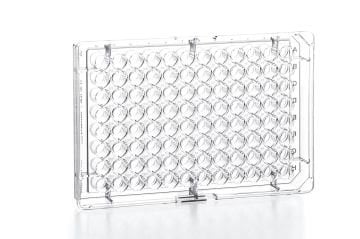 greiner BIO-ONE 655180 Hücre Kültürü için CELLCULTURE MICROPLATE, 96 WELL, PS, F-BOTTOM (CHIMNEY WELL), CLEAR, CELLSTAR®, TC, LID WITH CONDENSATION RINGS, STERILE, SINGLE PACKED 100 Adet / Koli