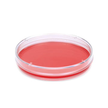 ISOLAB Petri Kutusu - Hücre Kültürü İçin - Polistiren - Ø32.8 x 13 mm - 960 Adet/Kutu