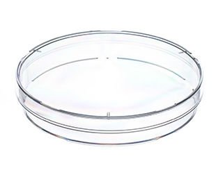 greiner BIO-ONE 633116 Petri Kabı PS Delikli  Steril Ağır Tasarım Ø94 x 16 mm / 480 Adet/Koli