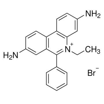 AFG Scientific 350331 Ethidium bromide ≥ 99 % (Assay Anhydrous Basis) 5 gr