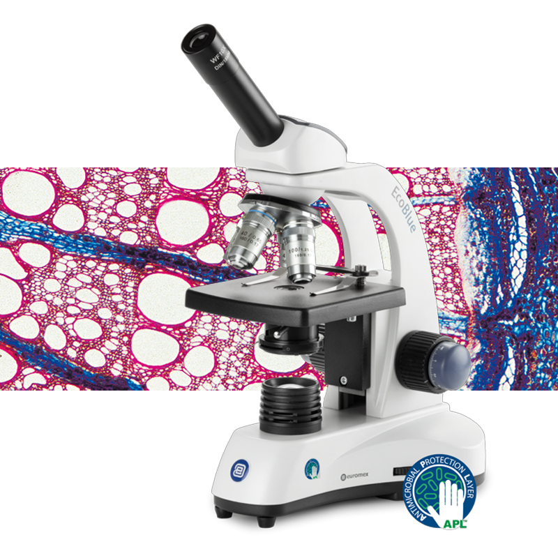 euromex EC.1101‑P‑HLED‑S Mononoküler Öğrenci Mikroskobu Biyoloji Mikroskobu