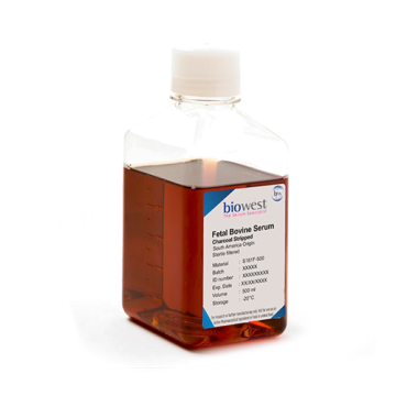 biowest S181F Fetal Bovine Serum (South America). Charcoal Stripped 100 mL