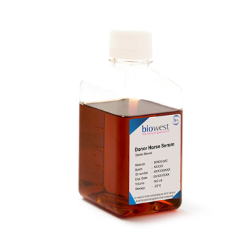 biowest S090H Donor Horse Serum. Heat Inactivated 500 mL