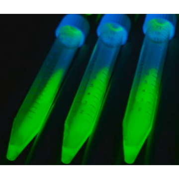 Sigma-Aldrich AL0103000 ALiCE® Cell Free Protein Expression Kit (Plant Cell Lysate) 50 μL