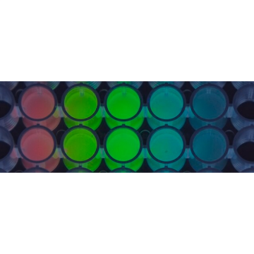 Sigma-Aldrich AL0103000 ALiCE® Cell Free Protein Expression Kit (Plant Cell Lysate) 50 μL