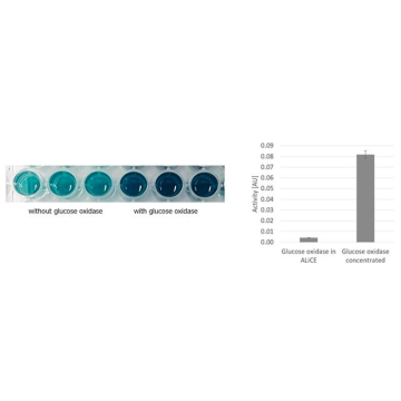 Sigma-Aldrich AL0103000 ALiCE® Cell Free Protein Expression Kit (Plant Cell Lysate) 50 μL