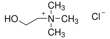 Sigma-Aldrich C7017 Choline chloride ≥99% 5 gr