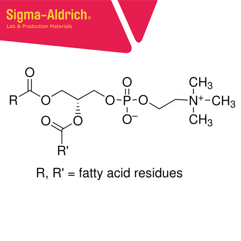 Sigma Aldrich P3556 L-α-Phosphatidylcholine egg yolk, Type XVI-E, ≥99% (TLC), lyophilized powder CAS No.: 8002-43-5 100 mg