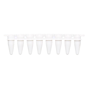 ISOLAB qPCR Tüpleri “Sekiz Şeritli”  “Demonte Düz Kapaklı” “Beyaz”  0.1 mL 120 Adet/Koli