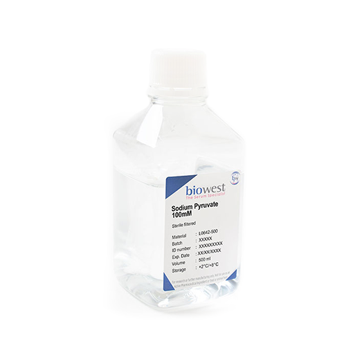 biowest L0642 Sodium Pyruvate 100 mM 100 mL