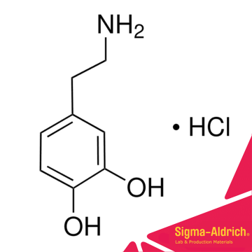 Sigma-Aldrich H8502 Dopamine hydrochloride CAS No.: 62-31-7 25 gr