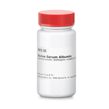 Sigma-Aldrich A9418 Bovine Serum Albumin lyophilized powder, BioReagent, suitable for cell culture 100 gr