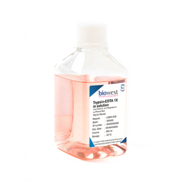 biowest L0930 Trypsin-EDTA 1X in solution w/o Calcium w/o Magnes ium w/ Phenol Red 100 mL