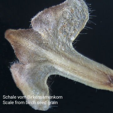 BRESSER Junior 20x Stereo Mikroskop