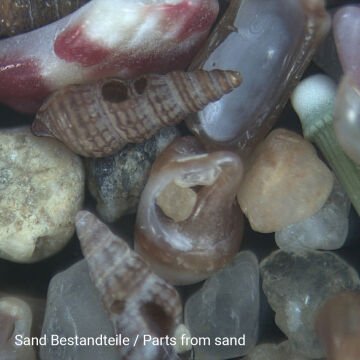 BRESSER Junior 20x Stereo Mikroskop