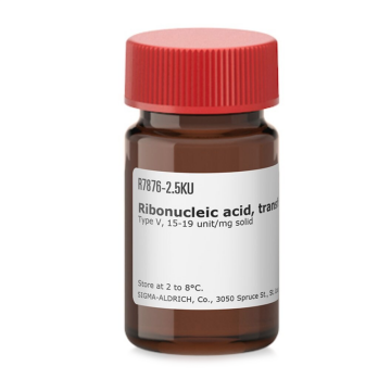 Sigma-Aldrich R7876 Ribonucleic acid, transfer from wheat germ Type V, 15-19 units/mg solid 500 Units