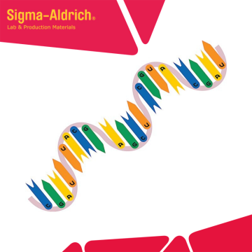 Sigma-Aldrich R7876 Ribonucleic acid, transfer from wheat germ Type V, 15-19 units/mg solid 500 Units