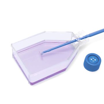ISOLAB Şişe - Hücre Kültürü - Geçirgen Kapaklı - 25 cm2 - 7 ml - 200 Adet/Paket