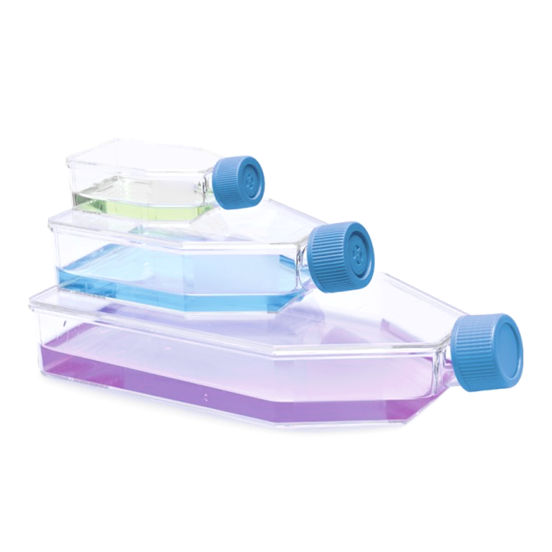 ISOLAB Şişe - Hücre Kültürü - Geçirgen Kapaklı - 25 cm2 - 7 ml - 200 Adet/Paket