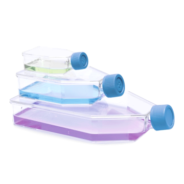 ISOLAB Şişe - Hücre Kültürü - Geçirgen Kapaklı - 25 cm2 - 7 ml - 200 Adet/Paket