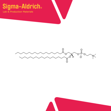 Sigma-Aldrich P1138 1,2-Distearoyl-sn-glycero-3-phosphocholine ≥99% 5 gr