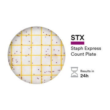 3M™ 6493 Petrifilm™ Staph Express Disk 100 Adet