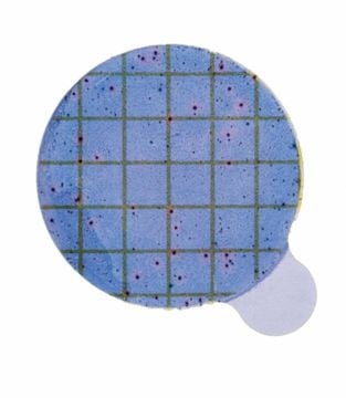 3M™ 6493 Petrifilm™ Staph Express Disk 100 Adet