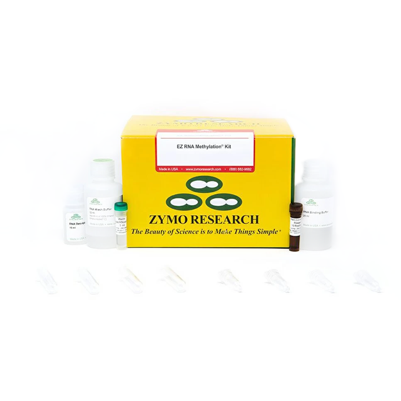 ZYMO RESEARCH R5002 EZ RNA Methylation Kit 200 Prep