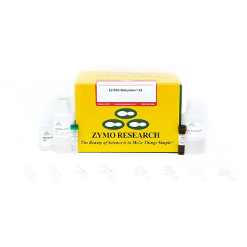 ZYMO RESEARCH R5002 EZ RNA Methylation Kit 200 Prep