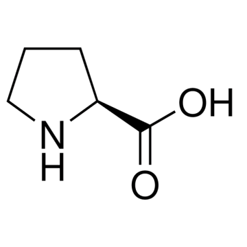 AFG Bioscience 308743 L-Proline for Biochemistry 5 kg