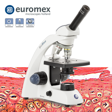 euromex BB.4250 BioBlue Monoküler Mikroskop