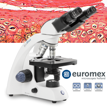 euromex BB.4263 BioBlue Binoküler Mikroskop