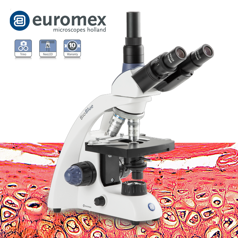 euromex BB.4243 BioBlue Trinoküler Mikroskop