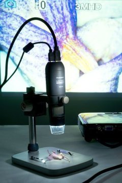 CELESTRON 44316 1080P HDMI Girişli Dijital Mikroskop 10X - 220 X