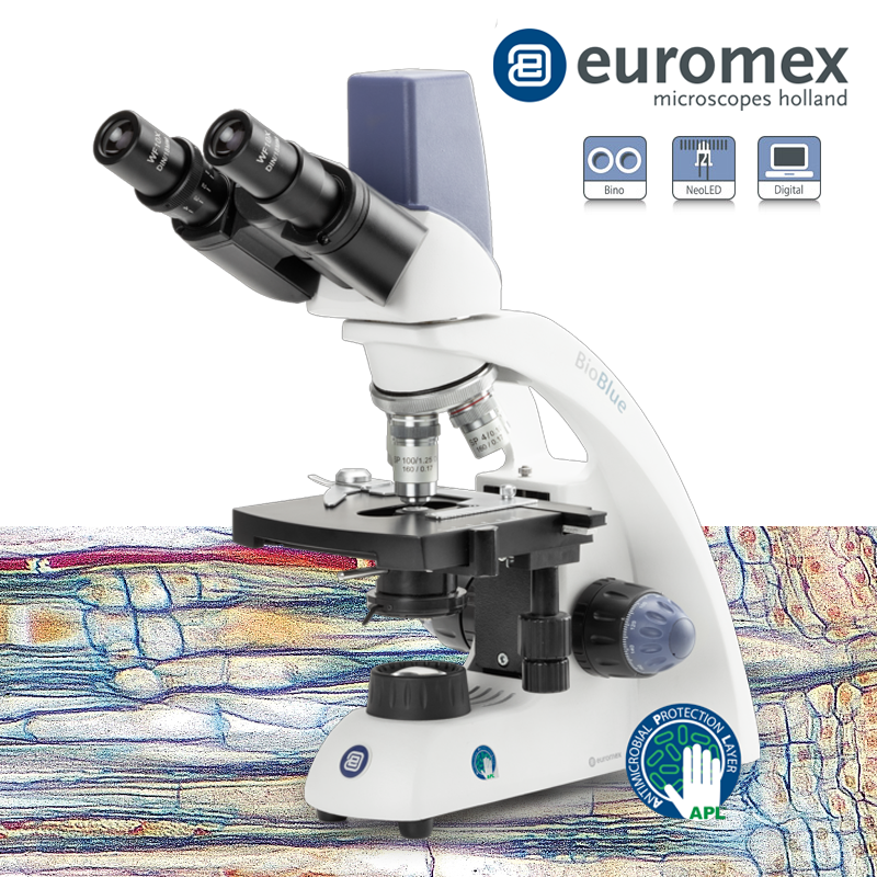 euromex BB.4269 Dijital Binoküler Mikroskop Entegre 5.0 Megapiksel Kamera