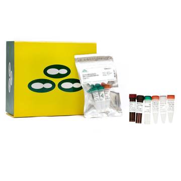 ZYMO RESEARCH D5310 OneStep qMethyl-PCR Kit Full Kit