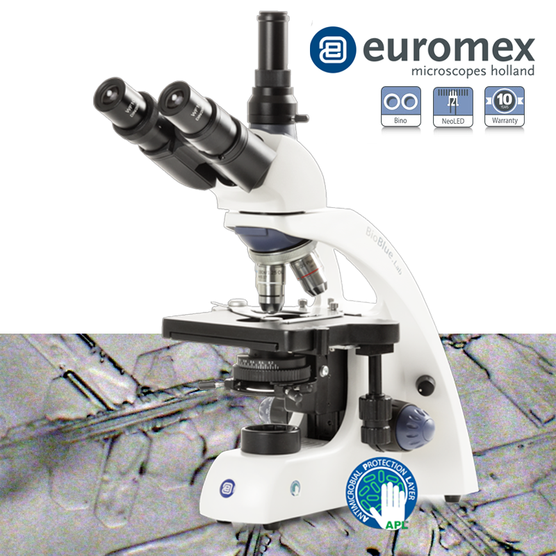 euromex BB.1153-PLi Trinoküler Mikroskop WF 10x/20 mm Oküler PL 4/10/S40/S100x Oil IOS Objektifler 3 W NeoLED™ Aydınlatma
