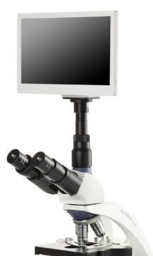 euromex BB.1153‑PLPHi Trinoküler Mikroskop WF 10x/20 mm Oküler PL 10x/20x/S40x/S100x IOS Objektifler Rafsız Sahne 3 W NeoLED™ Aydınlatma