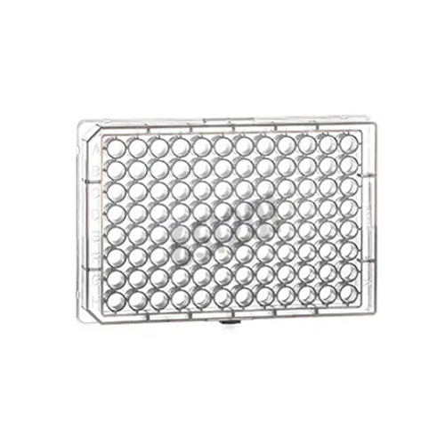 greiner BIO-ONE 651201 Mikroplate, 96 Kuyucuklu, PP, V-Taban, Konik Form, Şeffaf, 100 Adet / Koli