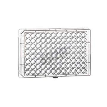 greiner BIO-ONE 651201 Mikroplate, 96 Kuyucuklu, PP, V-Taban, Konik Form, Şeffaf, 100 Adet / Koli