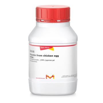 Sigma-Aldrich A5503 Albumin from chicken egg white lyophilized powder, ≥98% (agarose gel electrophoresis) CAS No.: 9006-59-1 5 gr
