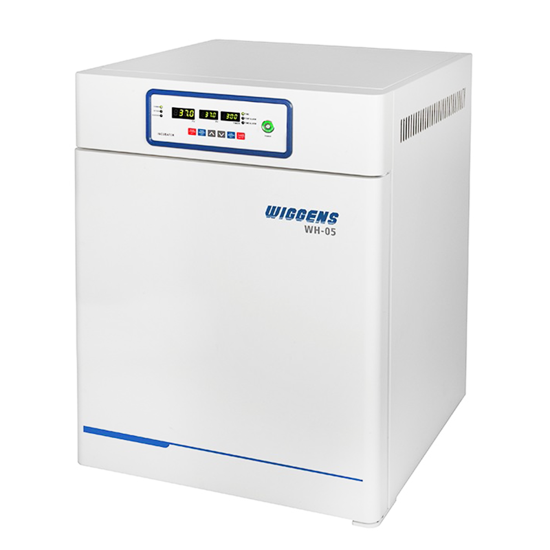 WIGGENS WH-05 İnkübatör 50 L  / +5... 65 °C